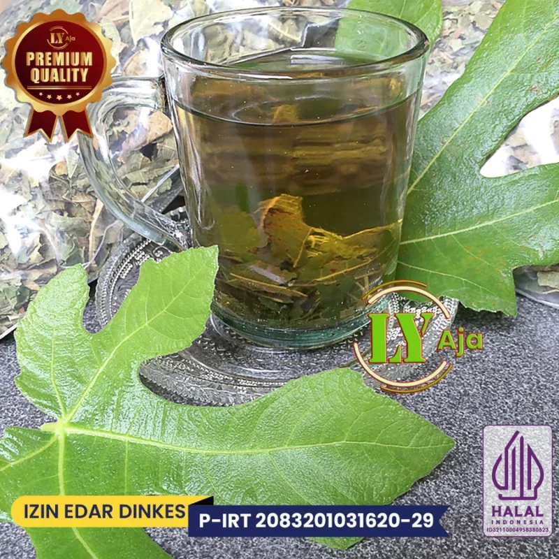 Teh Daun Tin / Ara Kering LY Aja – Fig Leaf Herbal Tea Premium Halal, Pelangsing Diet & Detoks Tubuh - Gambar 4